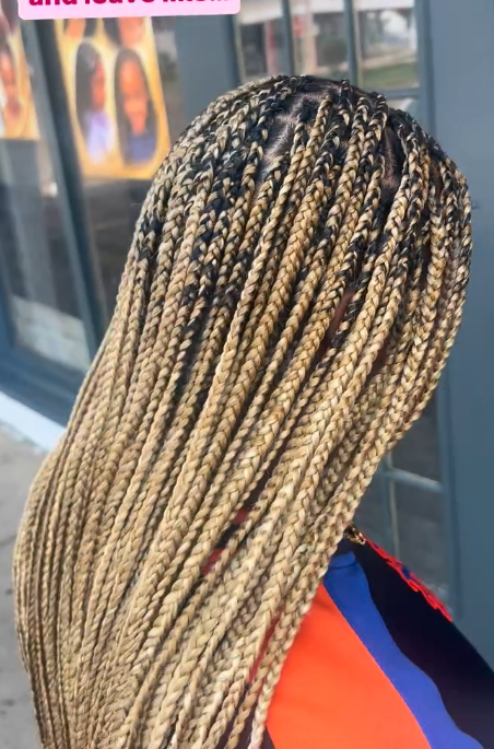 Knotless Braids