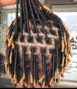Starter Locs for short length (2.5 Hours)