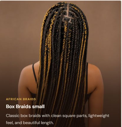 Box Braids small